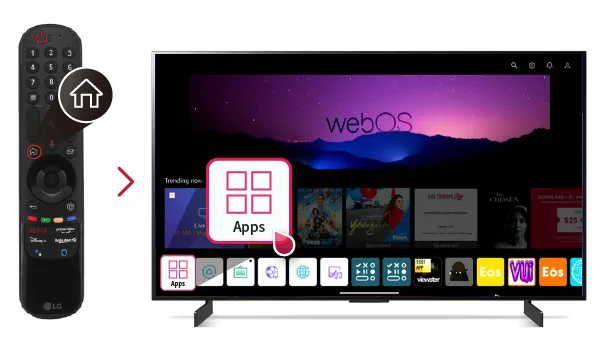 LG mağazasında proqram axtarışı